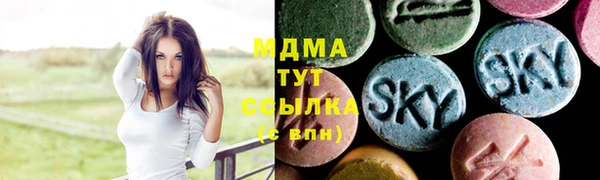 spice Богородск