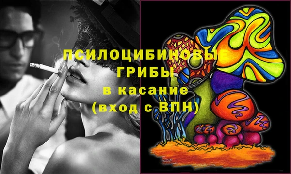 spice Богородск