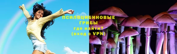 гидропоника Богданович