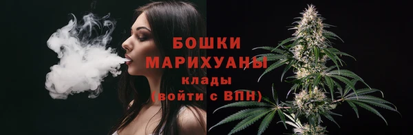 spice Богородск