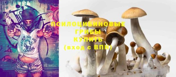 гидропоника Богданович
