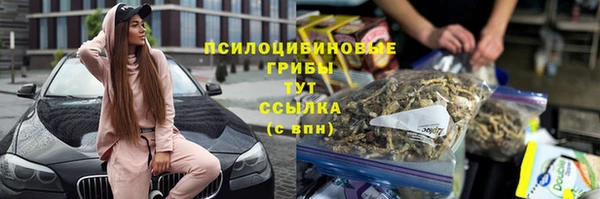 скорость Богородицк