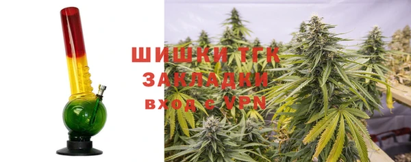 spice Богородск