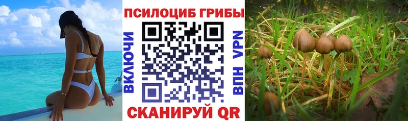 MEGA зеркало  Надым  Псилоцибиновые грибы ЛСД 